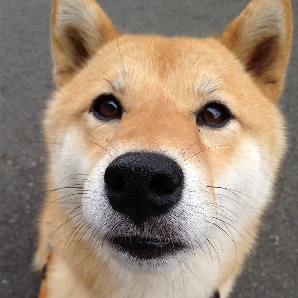 九游娱乐(jiuyou)官方网站-“中国女足与海外球队友谊赛，展示竞技水平”，中国女足在国际足联的世界排名