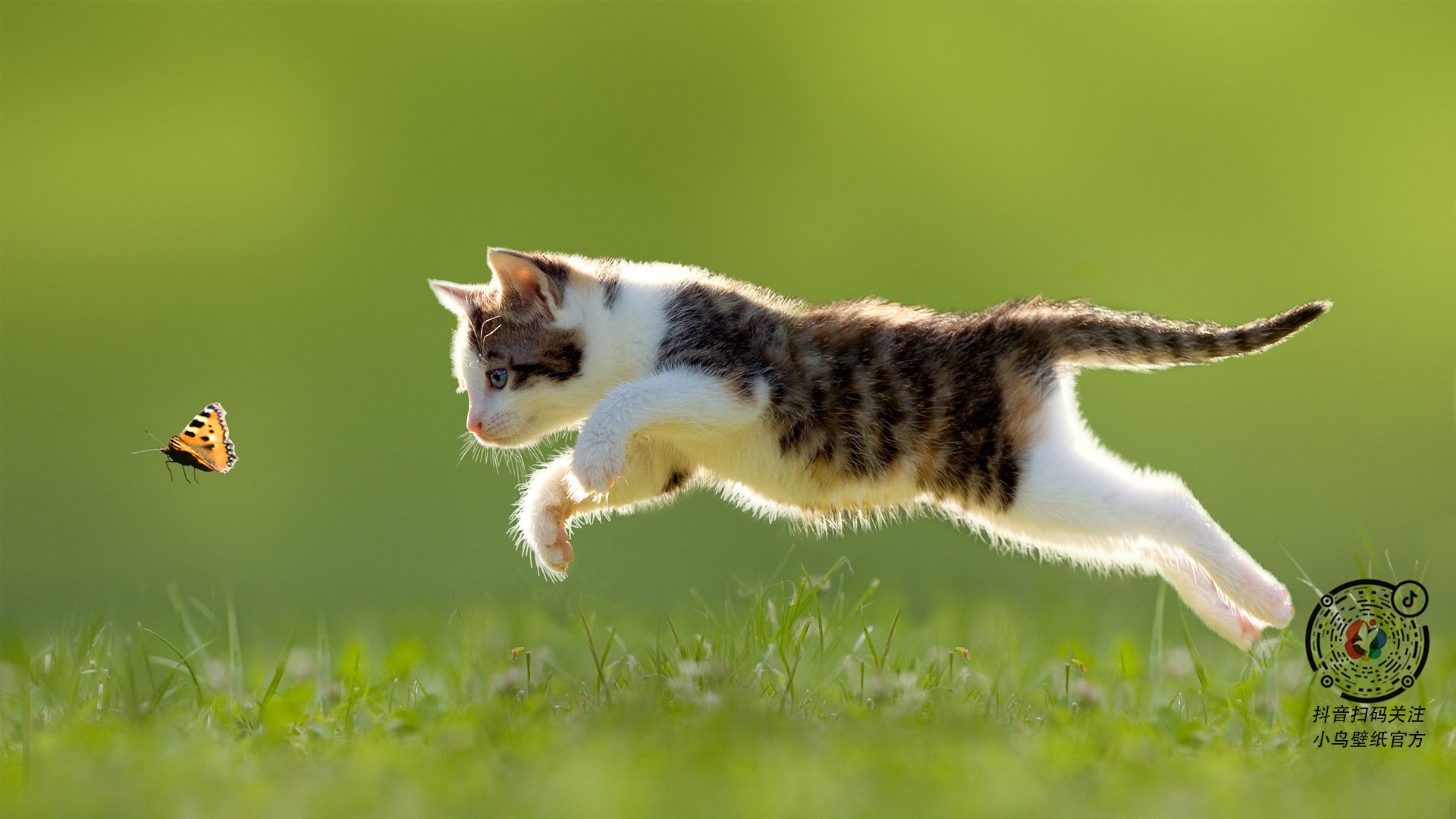 塞内加尔男足在巴黎奥运会比赛中以2-0战胜新西兰，塞内加尔国家男子足球队